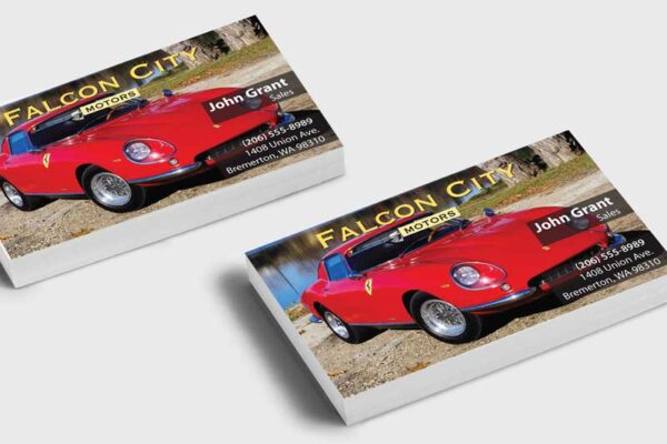 Business Card Sample Falcon